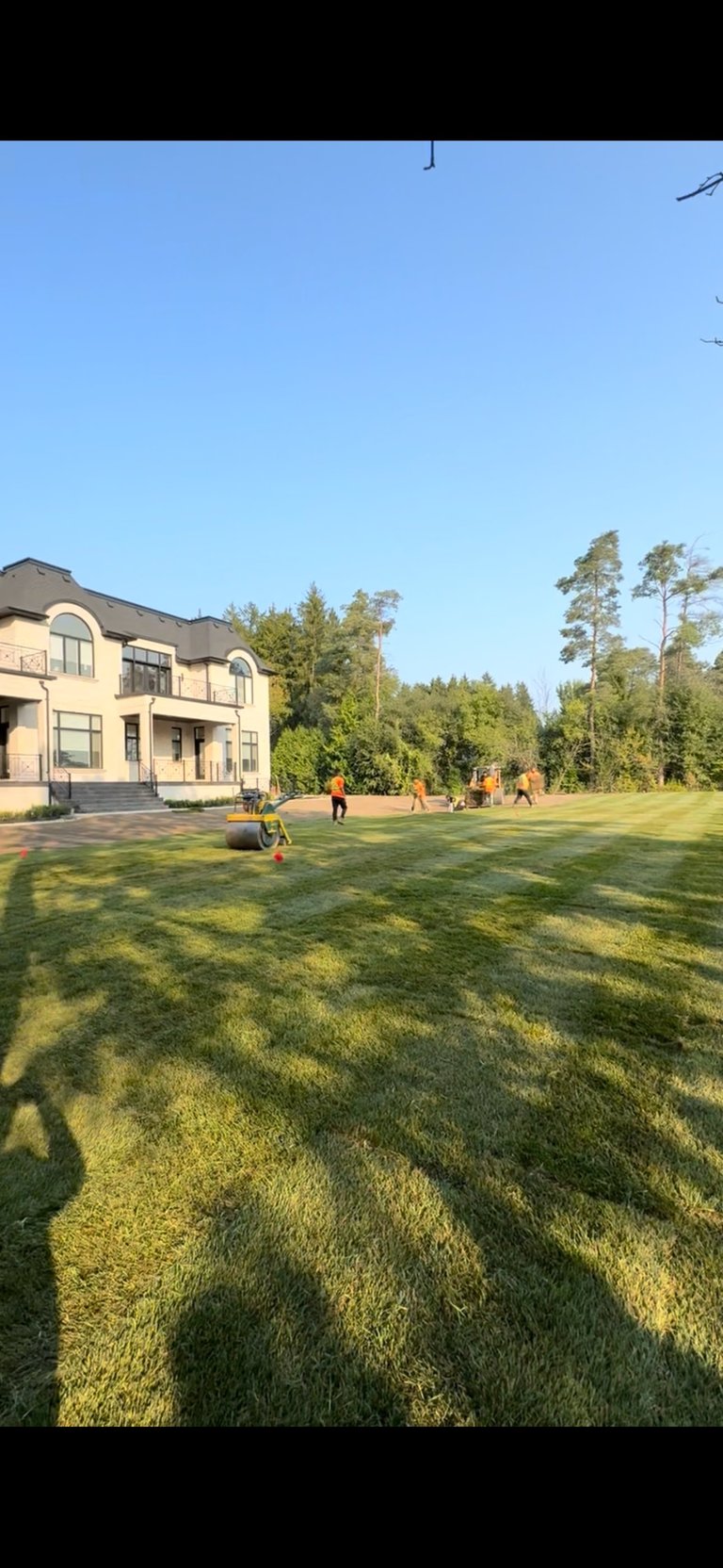 Two-story residential home with cream exterior viewed across green lawn with people playing in the backyard surrounded by trees