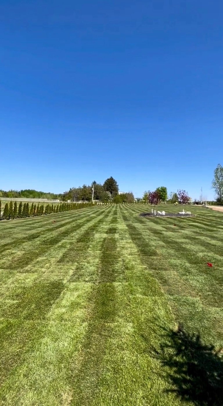 Well-maintained cemetery grounds with alternating mowed grass stripes, trees lining the horizon, and blue sky overhead