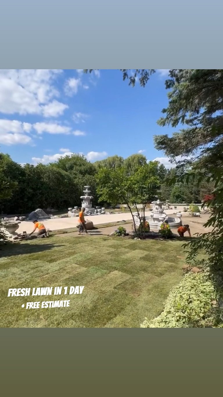 Landscaping crew working on fresh lawn installation in a residential yard with blue sky and trees in background
